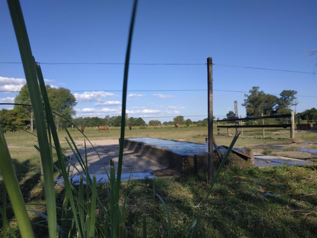 La Tortuga Turismo Rural Leilighet Carmelo Eksteriør bilde