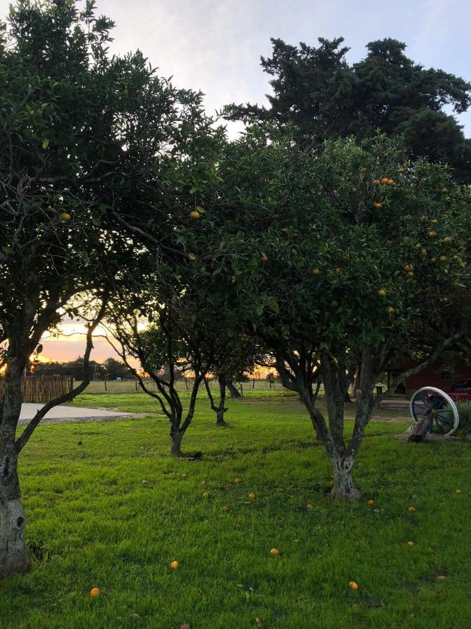 La Tortuga Turismo Rural Leilighet Carmelo Eksteriør bilde